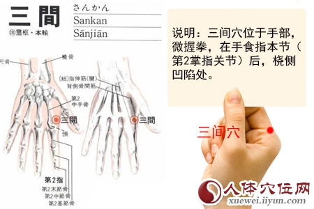 三间穴位位置图