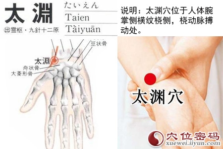 太渊穴位位置图