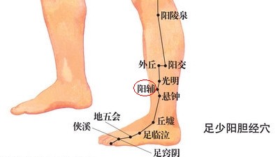 阴辅穴的位置图