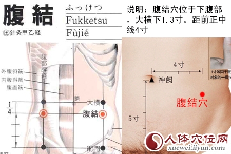 腹结穴位位置图