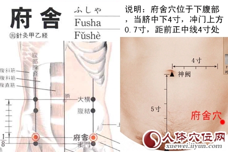 府舍穴位位置图