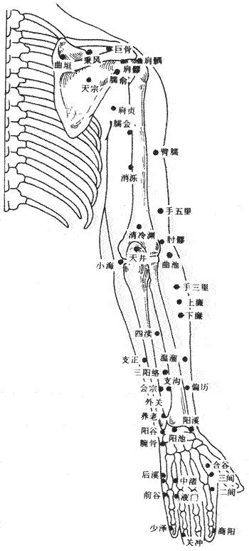 人体胳膊手部外侧【穴位图】