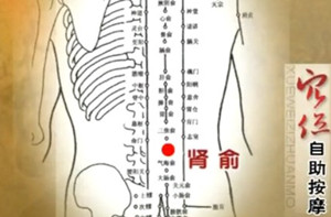 肾俞穴的位置图